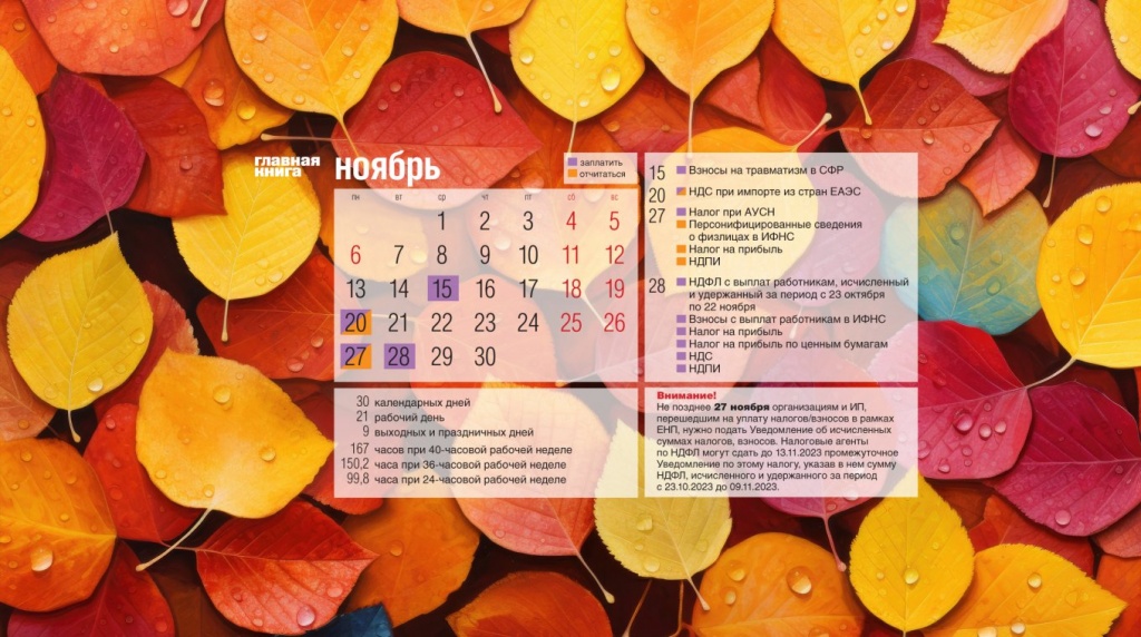 Календарь-обои ГК_ноябрь 2023.jpg